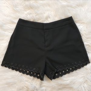 Sam Edelman Shorts